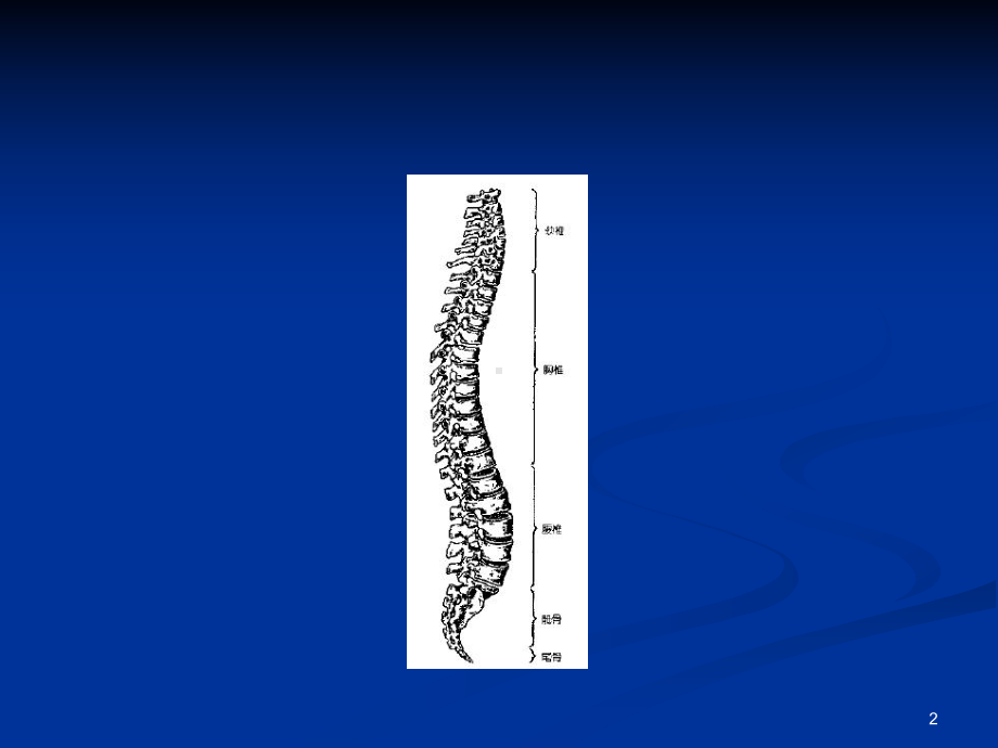 盘源性腰痛学习课件.ppt_第2页