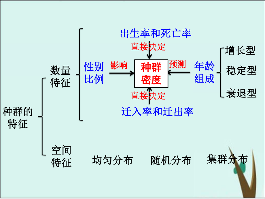 《种群的特征-》人教版课件完美版2.pptx_第2页