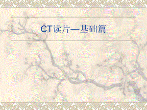 CT读片-基础篇课件.ppt