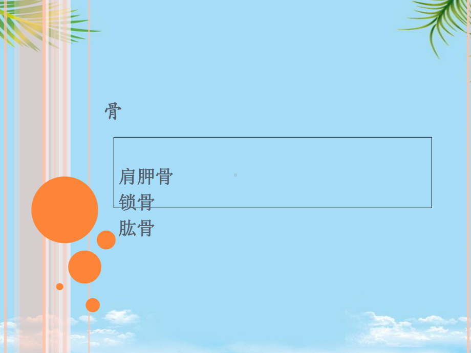 简要肩关节功能解剖最全课件.ppt_第3页