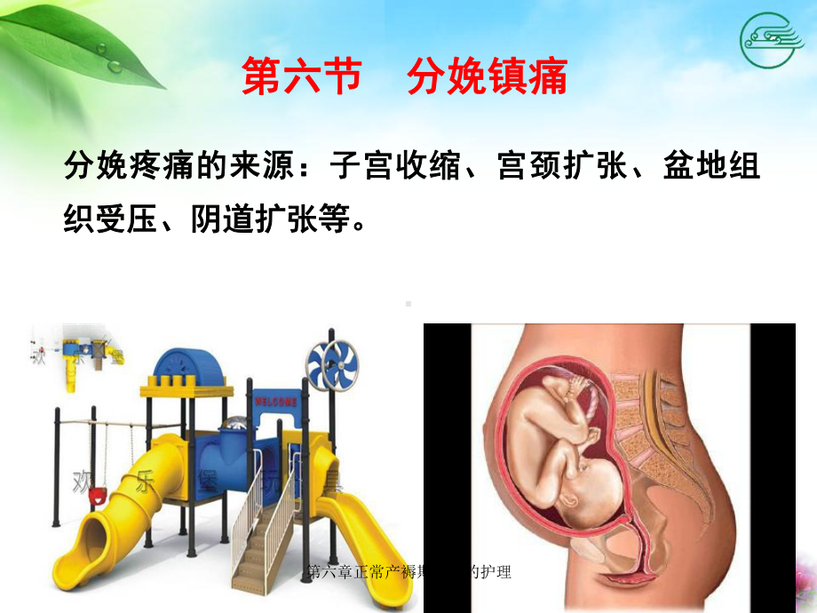 第六章正常产褥期产妇的护理课件.ppt_第2页