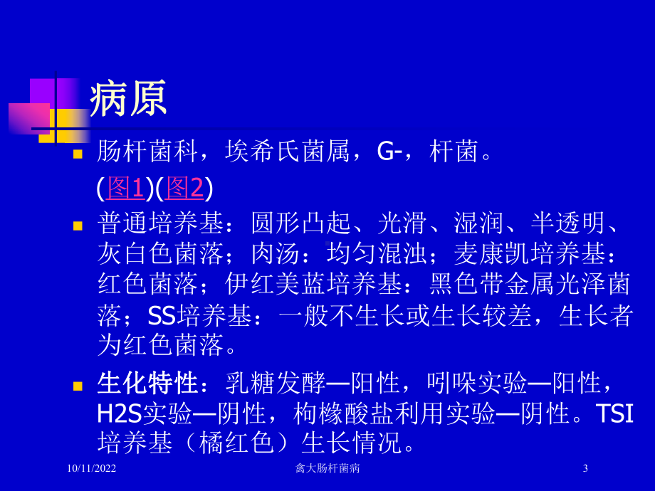 禽大肠杆菌病培训课件.ppt_第3页