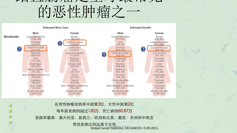 结直肠癌内科治疗课件.pptx_第3页