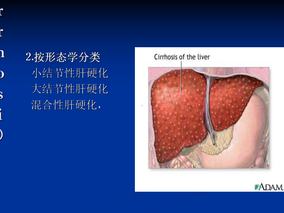 肝胰影像诊断-课件.ppt_第3页