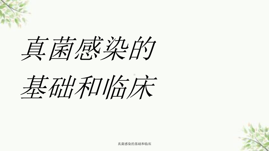 真菌感染的基础和临床课件.ppt_第1页