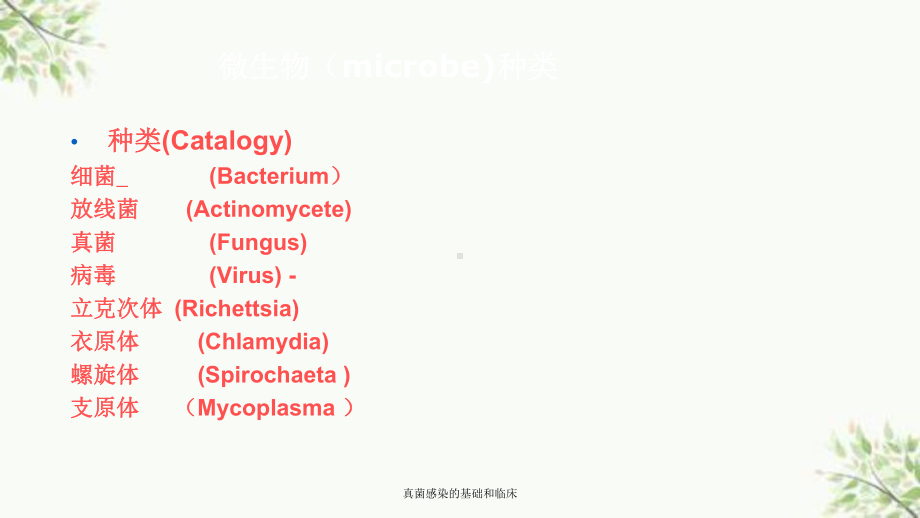 真菌感染的基础和临床课件.ppt_第3页