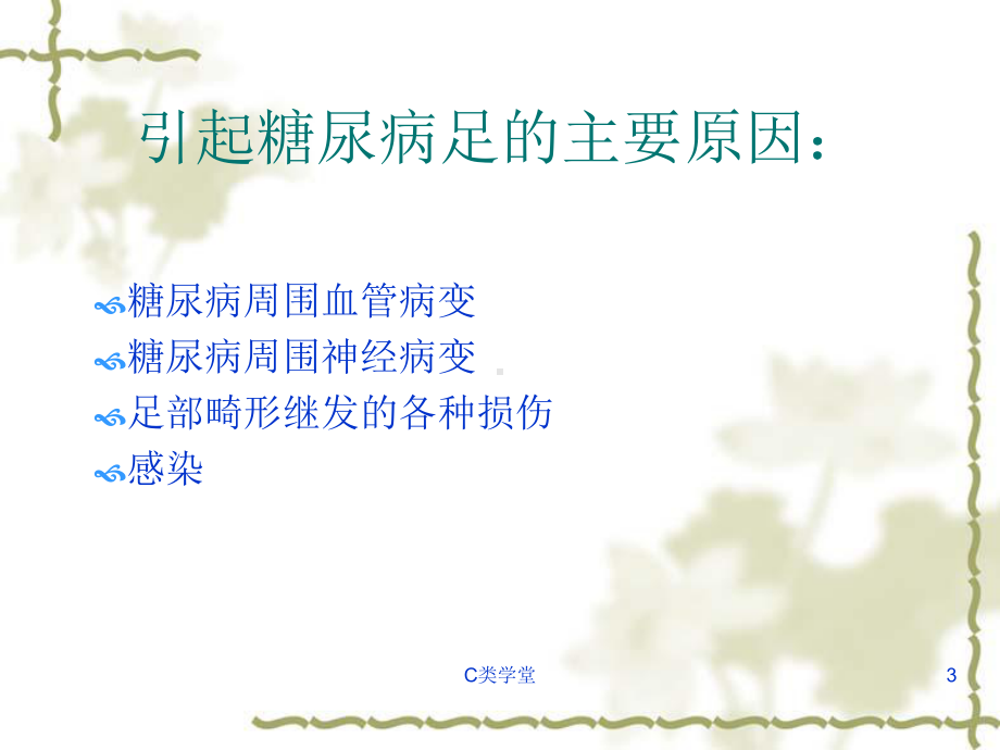 糖尿病足筛查课件.ppt_第3页