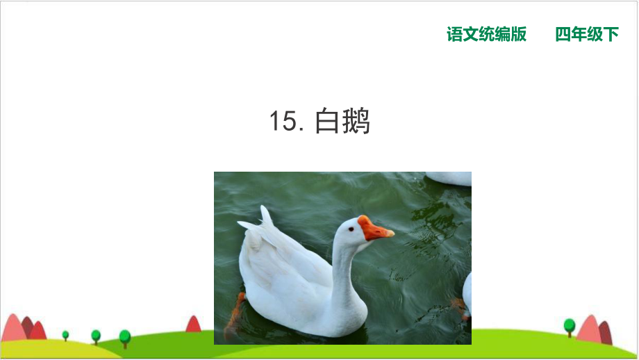 《白鹅》教学课件.ppt_第1页