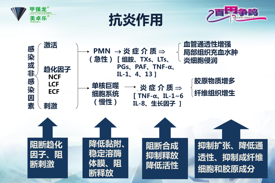 糖皮质激素在呼吸系统中的应用实用课件.pptx_第3页