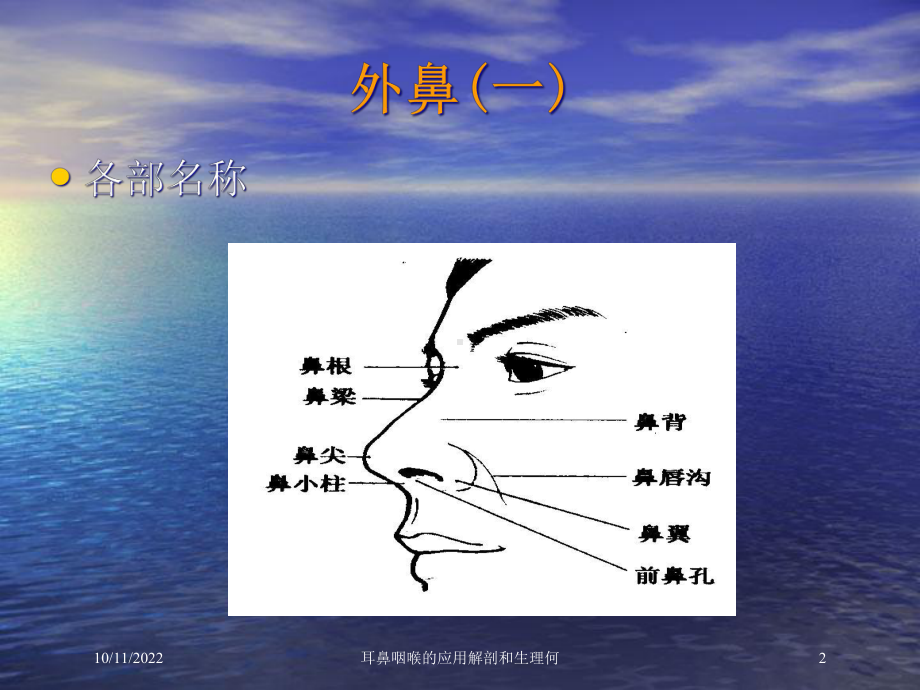 耳鼻咽喉的应用解剖和生理培训课件.ppt_第2页