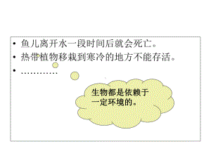 L生物与环境的关系]课件.ppt