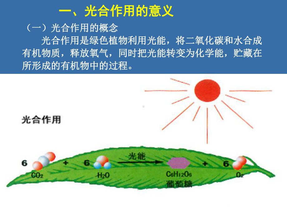 6章-植物生产与光能利用课件.ppt_第3页