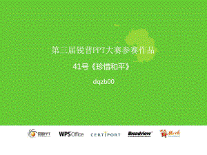 wps演示文稿模板-课件.ppt