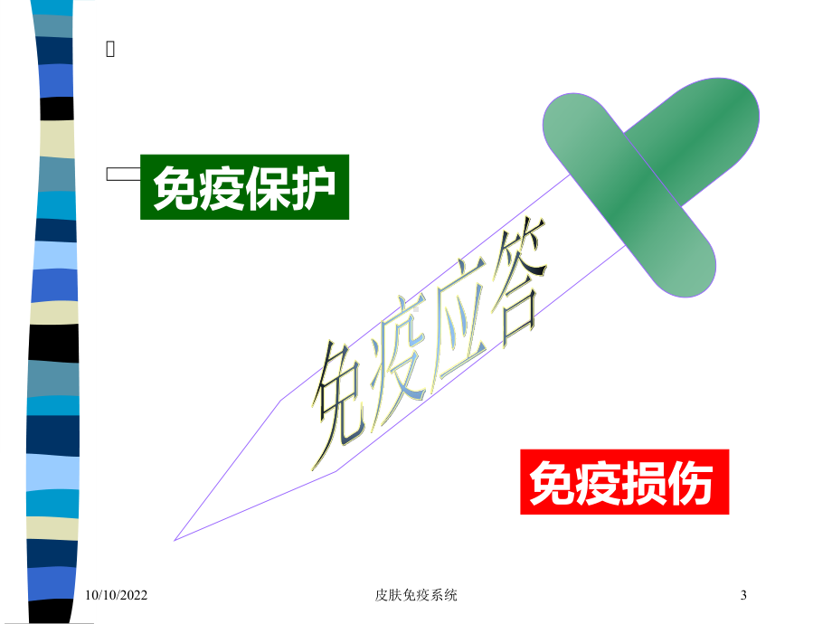 皮肤免疫系统培训课件.ppt_第3页