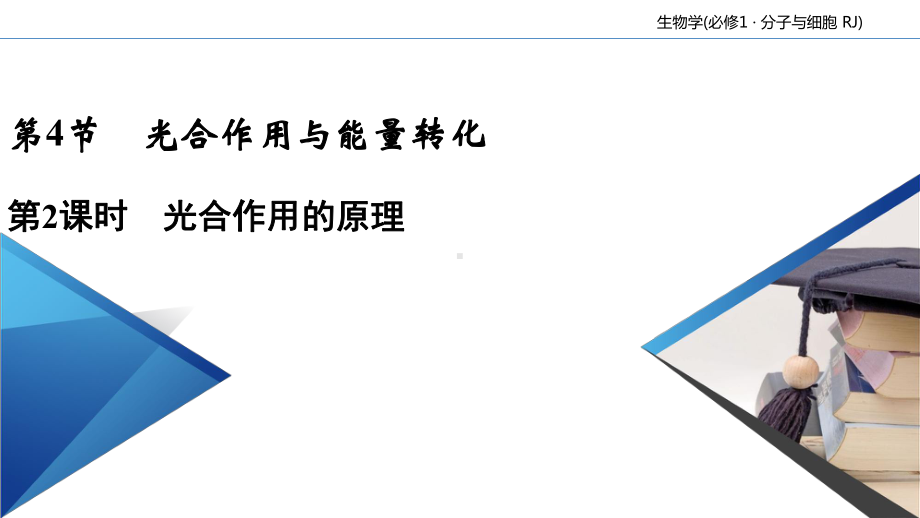 (新教材)光合作用与能量转化公开课课件人教版1.ppt_第2页