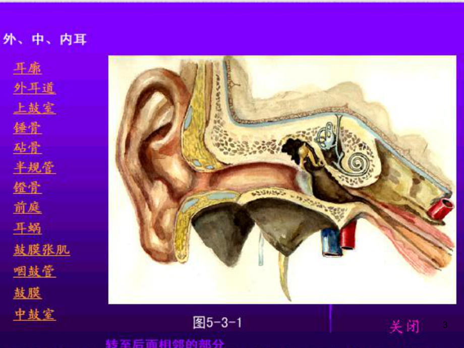 9讲耳鼻咽喉解剖生理课件.ppt_第3页