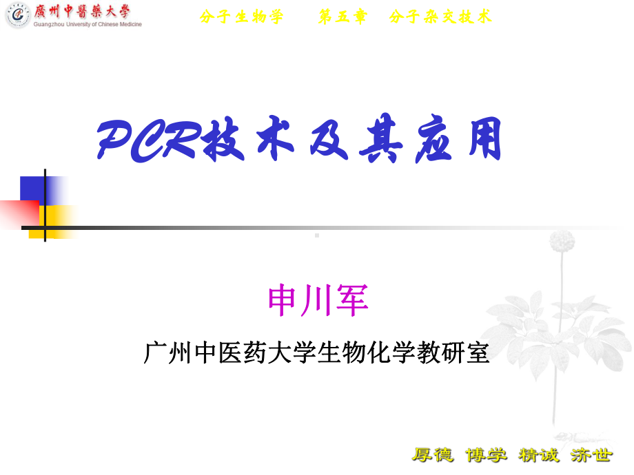 PCR技术与应用课件.ppt_第1页