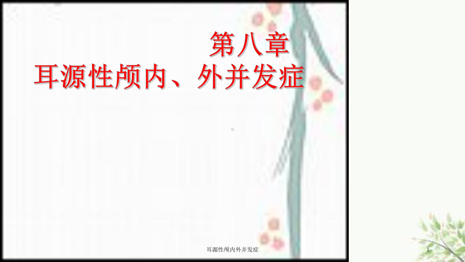 耳源性颅内外并发症课件.ppt_第1页