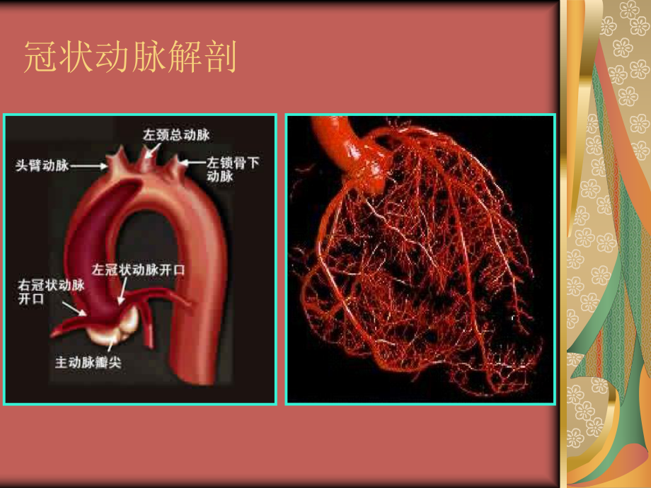 经桡动脉冠脉造影主题讲座课件.ppt_第1页