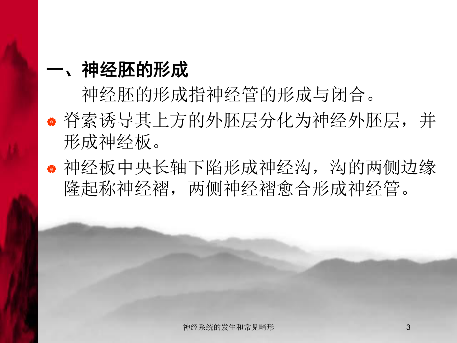 神经系统的发生和常见畸形培训课件.ppt_第3页