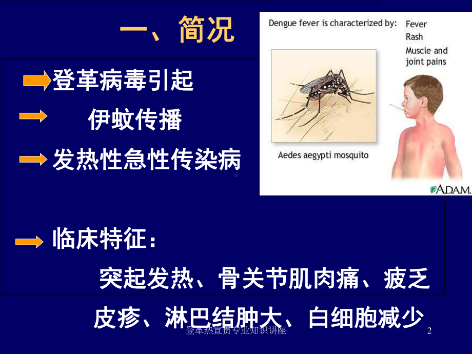 登革热宣贯专业知识讲座培训课件.ppt_第2页