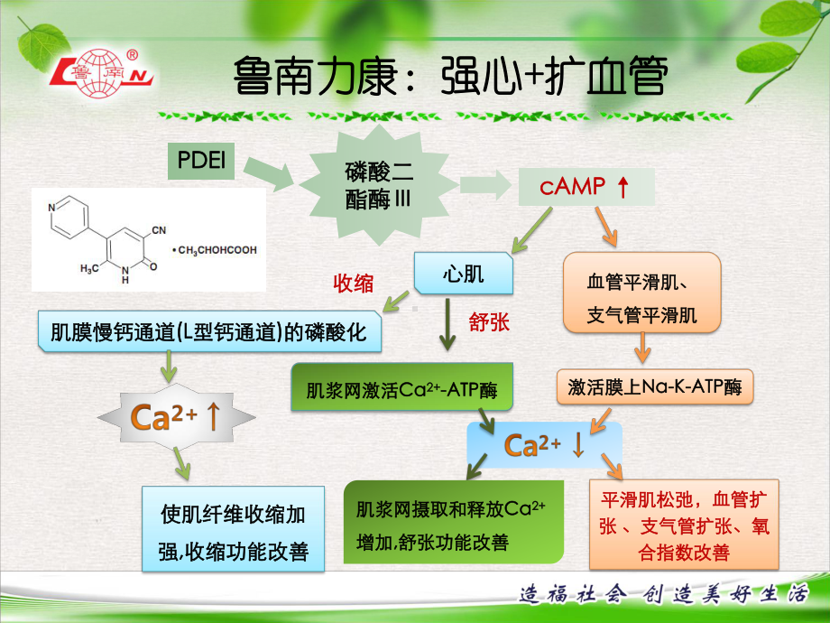 米力农临床应用课件.pptx_第3页