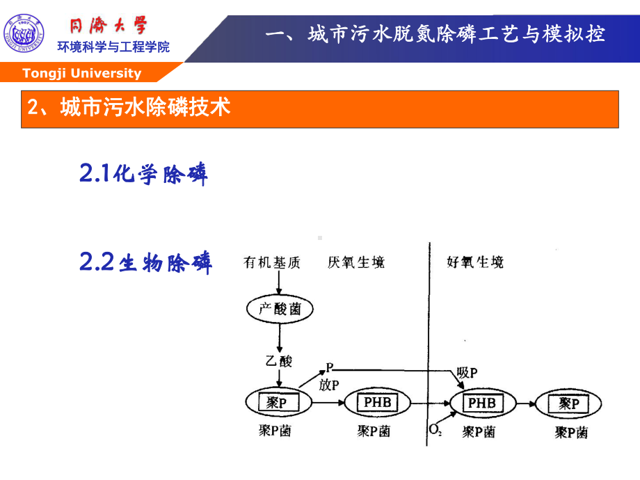 AAO污水处理工艺介绍解析课件.ppt_第3页