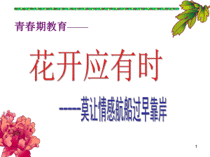 (精选班会)《预防早恋》主题班会课件.ppt