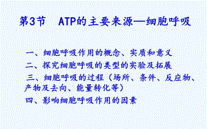 九讲细胞呼吸课件.pptx