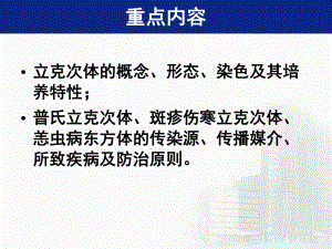 立克次体医学知识讲座培训课件.ppt