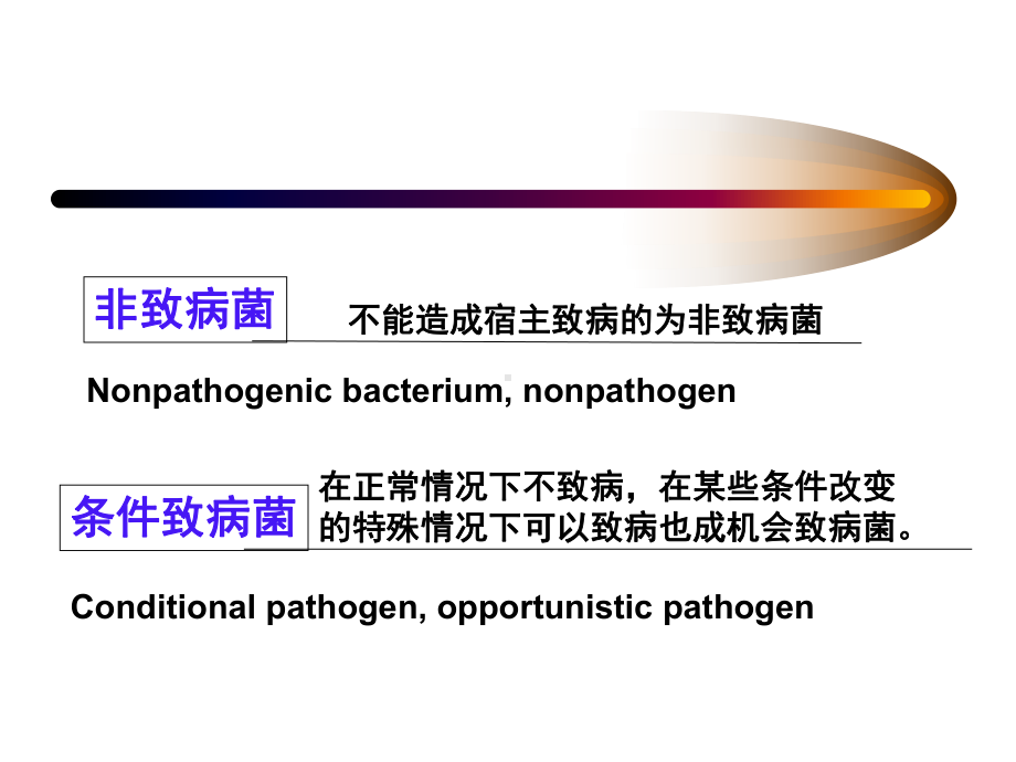 细菌感染与免疫课件-2.ppt_第2页