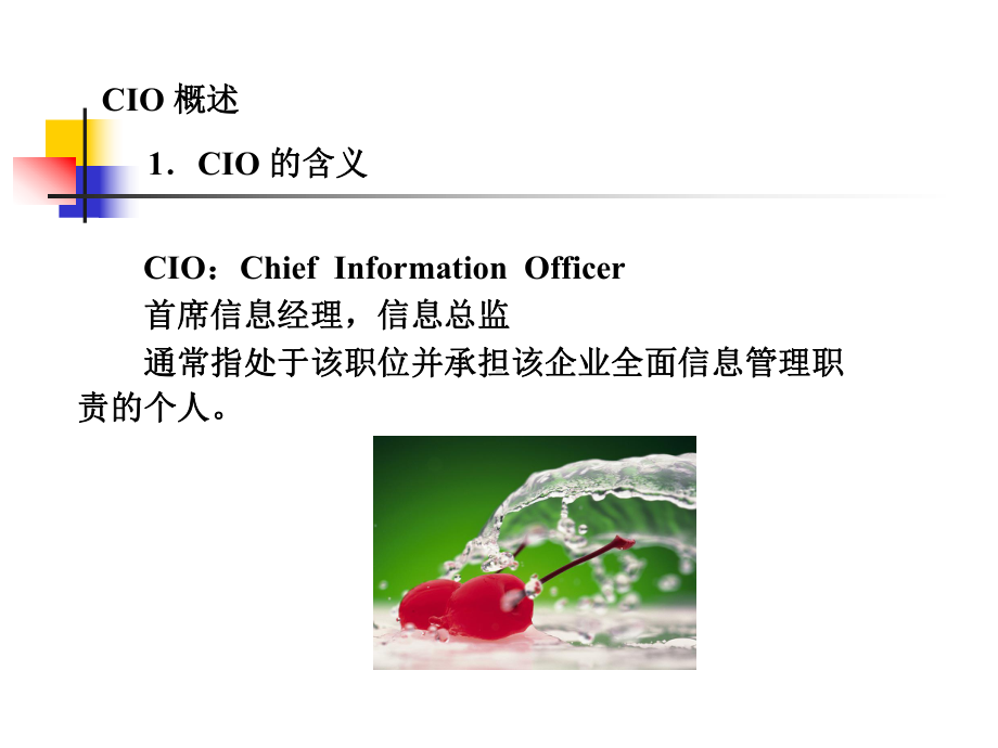 CIO的职责与作用-优质课件.ppt_第3页