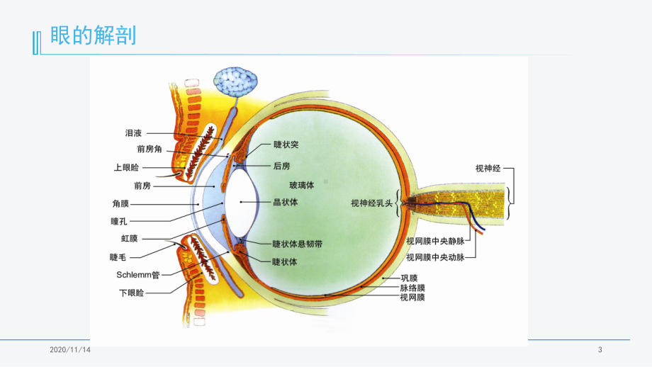 老年性白内障护理查房课件.ppt_第3页