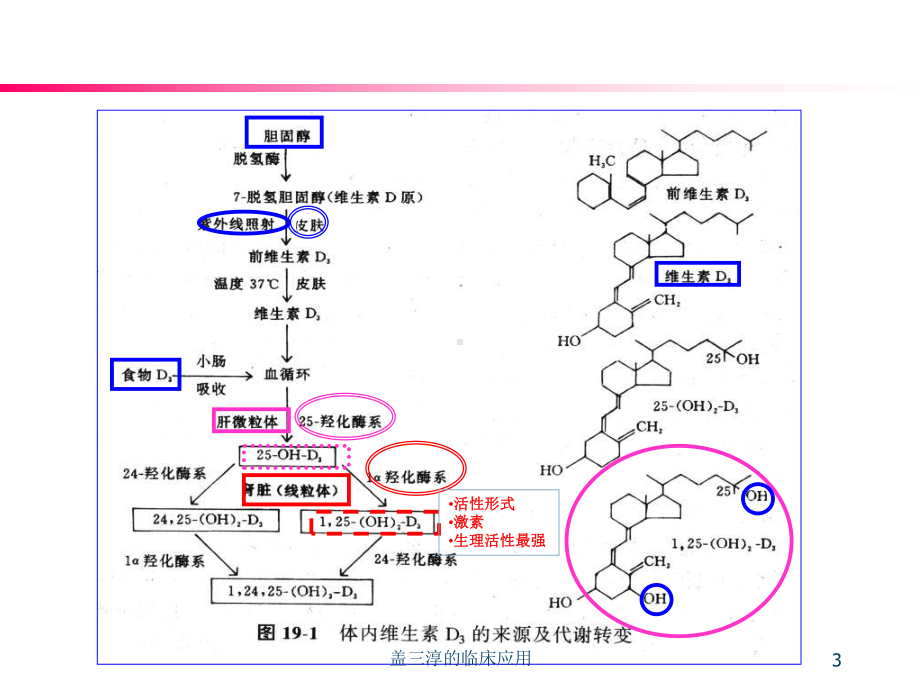 盖三淳的临床应用课件.ppt_第3页