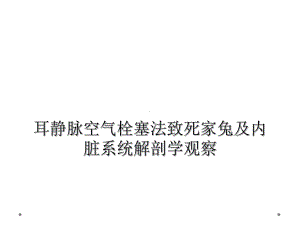 耳静脉空气栓塞法致死家兔及内脏系统解剖学观察课件.ppt