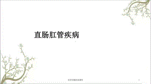 肛管直肠疾病课件.ppt