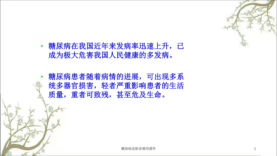 糖尿病皮肤讲课用课件.ppt_第2页