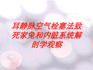 耳静脉空气栓塞法致死家兔和内脏系统解剖学观察培训课件.ppt