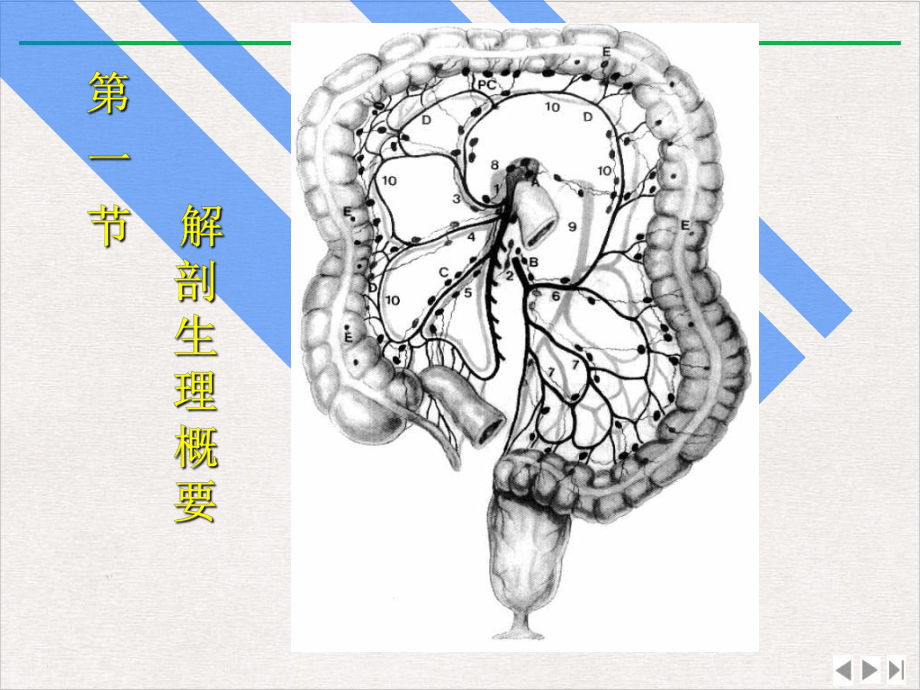 结肠直肠肛管疾病课件.pptx_第1页