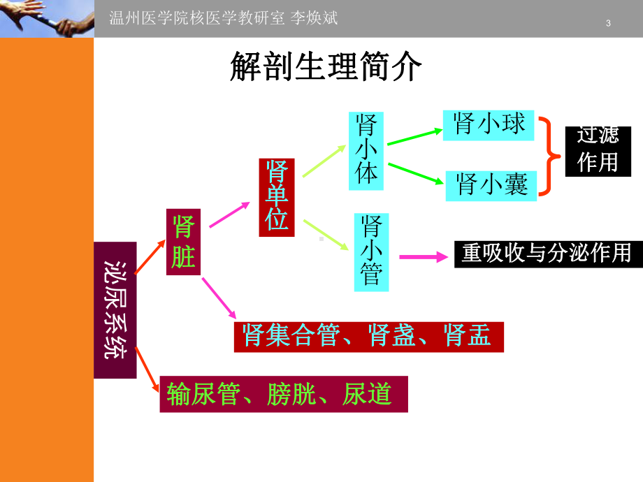 十五章泌尿系统核医学课件.ppt_第3页