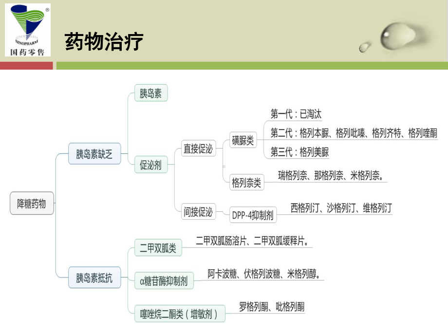 糖尿病口服降糖药介绍65课件.ppt_第2页