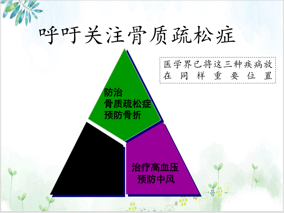 老年骨质疏松性骨折治疗原则培训课件-2.ppt_第3页