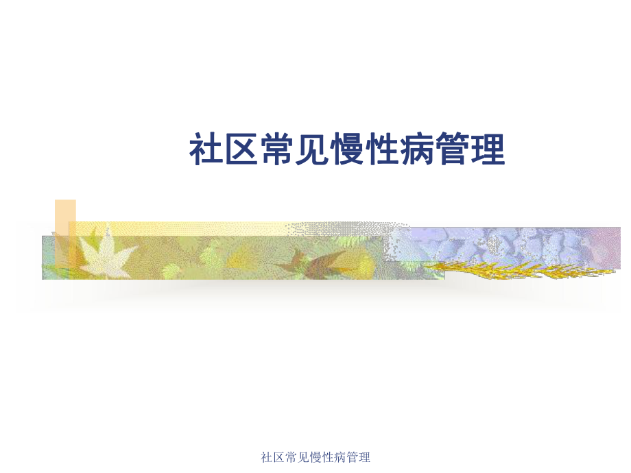 社区常见慢性病管理课件.ppt_第1页