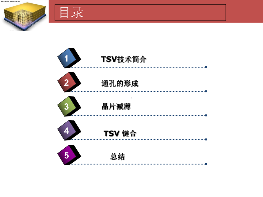 3D封装与硅通孔TSV工艺技术解析课件.ppt_第2页