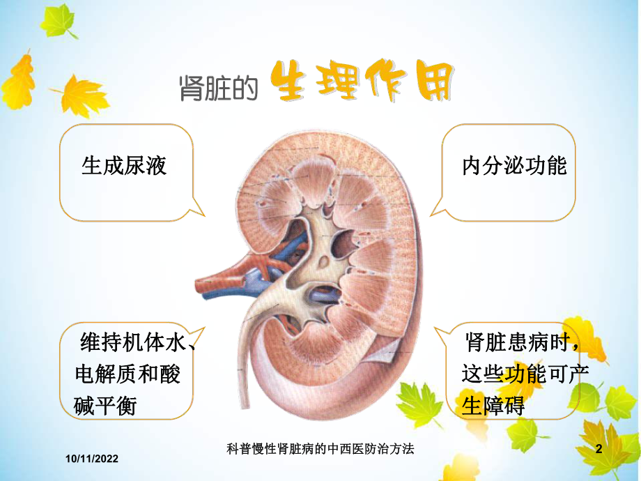 科普慢性肾脏病的中西医防治方法培训课件.ppt_第2页