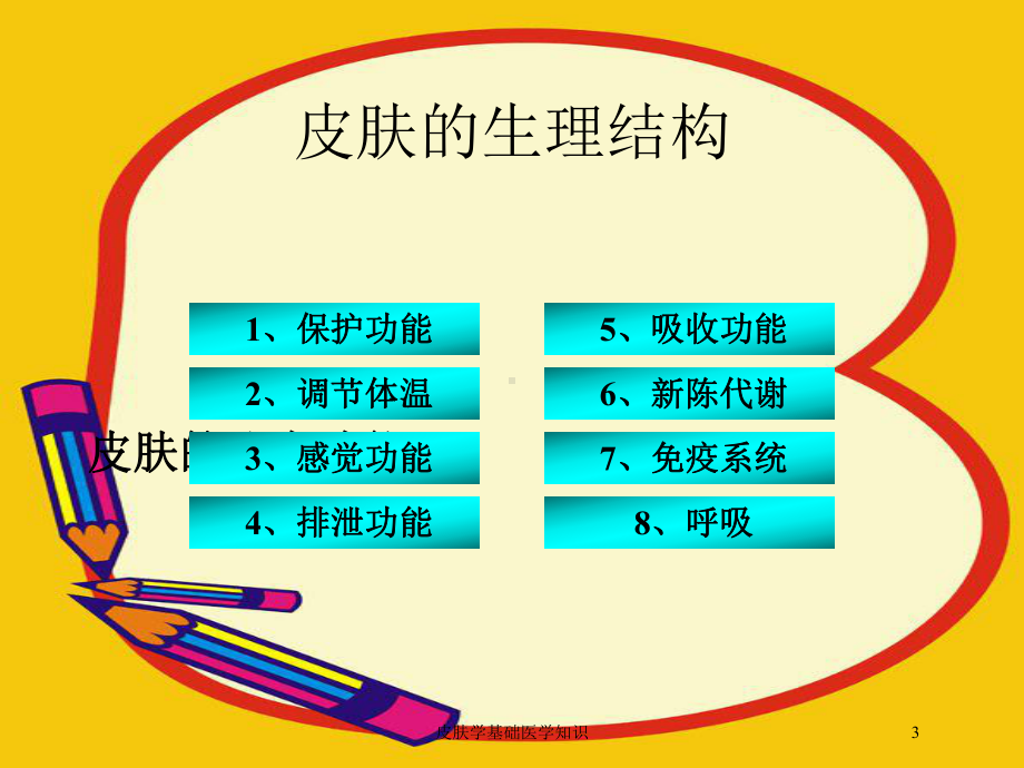 皮肤学基础医学知识培训课件.ppt_第3页