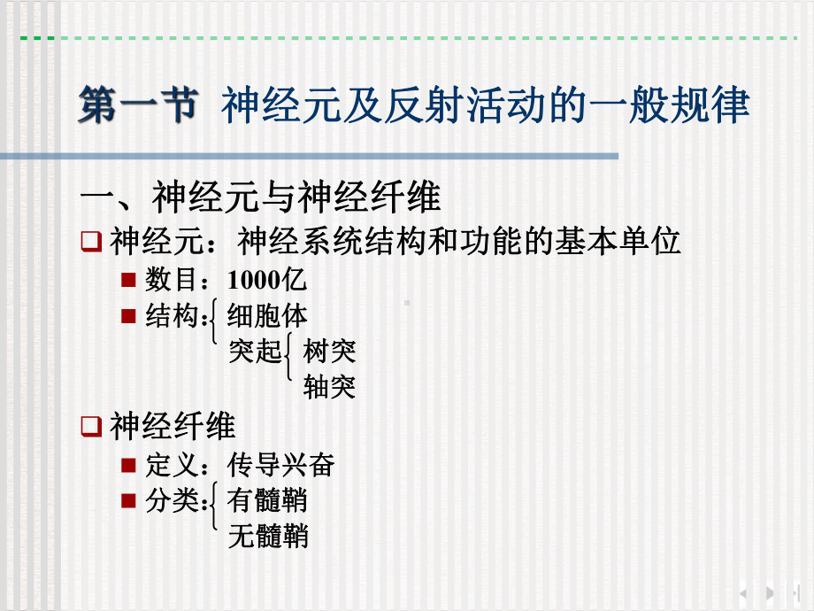 神经系统讲述完美版课件.pptx_第2页