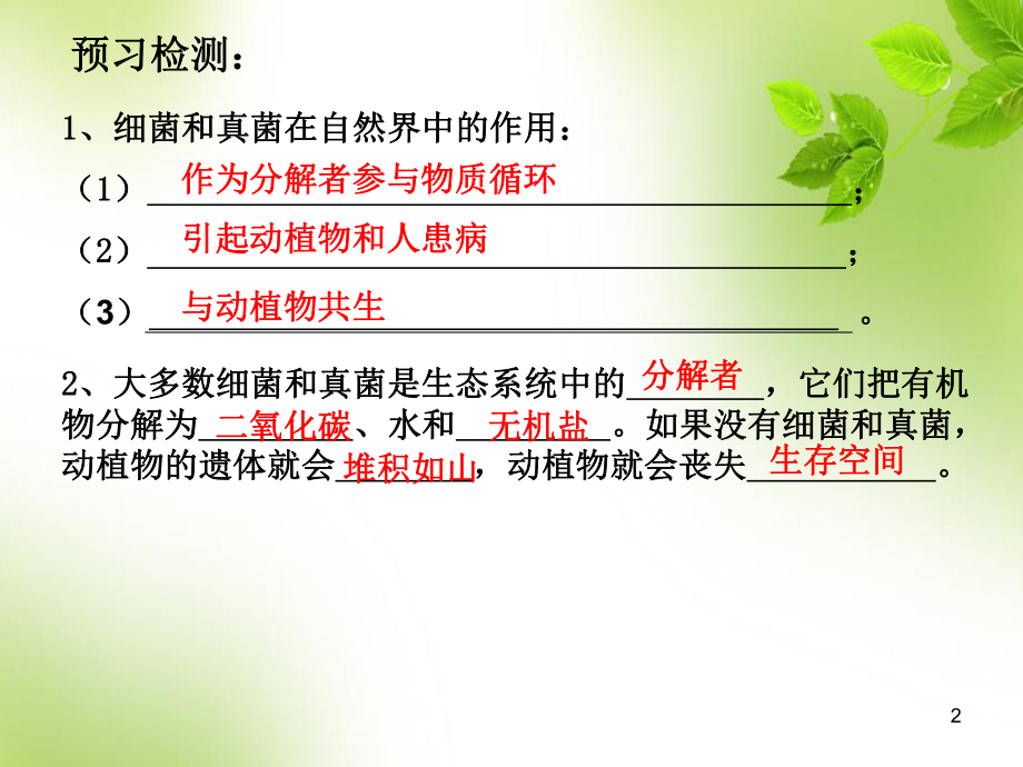 细菌和真菌在自然界中的作用医学课件.ppt_第2页