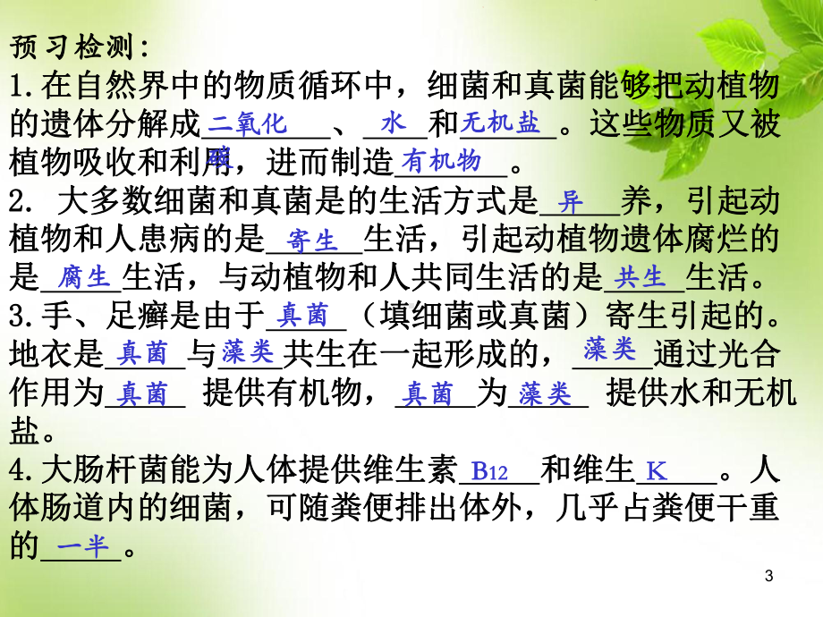 细菌和真菌在自然界中的作用医学课件.ppt_第3页