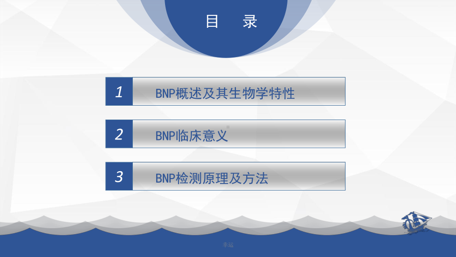 BNP概述检测原理及临床意义-医学课件.ppt_第2页